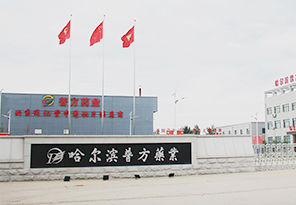 征途国际官网-钻营健全,你我一路成长